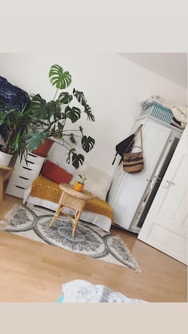 Holiday Homes & Apartment Rentals - Airbnb