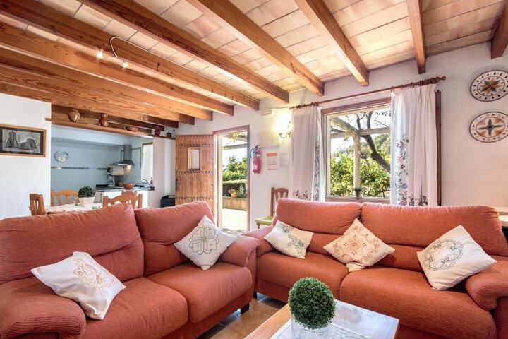 Fontxica gallery image 5