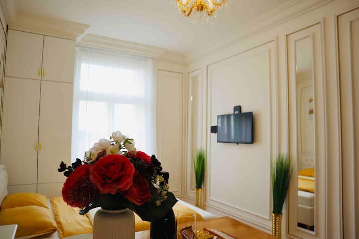 Modern Apartmant In Center Prague. Panorama View - Prague