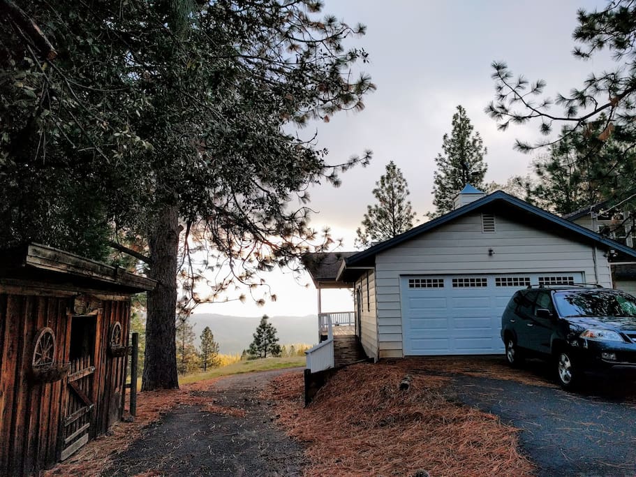Welcome to Bear Family Ranch