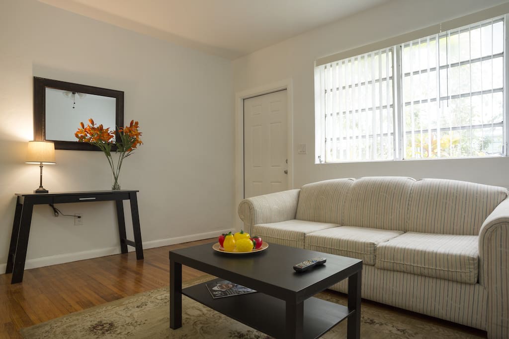 Living Room with pull-out Sofa Bed