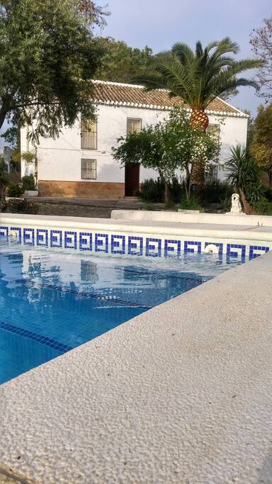 Agua y cal. Blanco y azul.