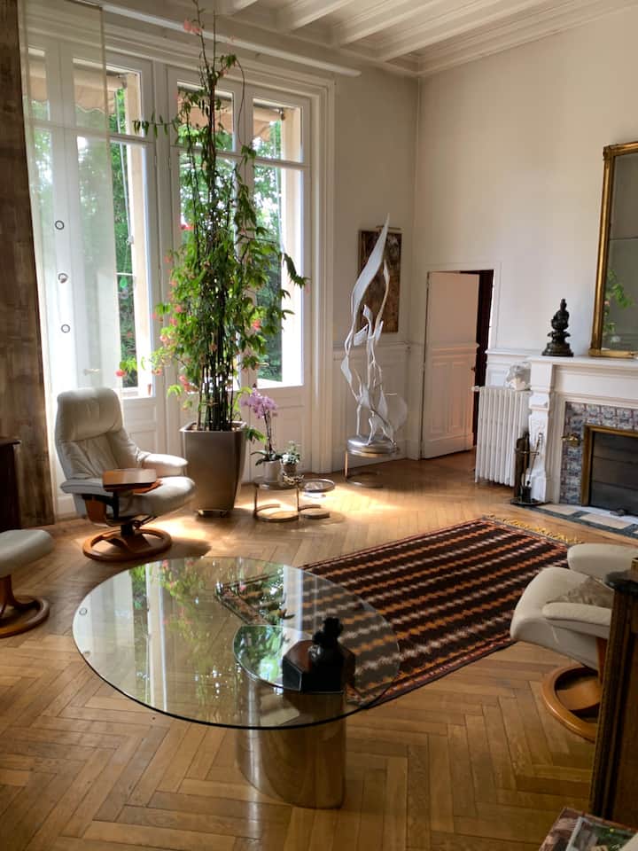 Appartement Hôtel Des Loups Monument Historique - Nancy
