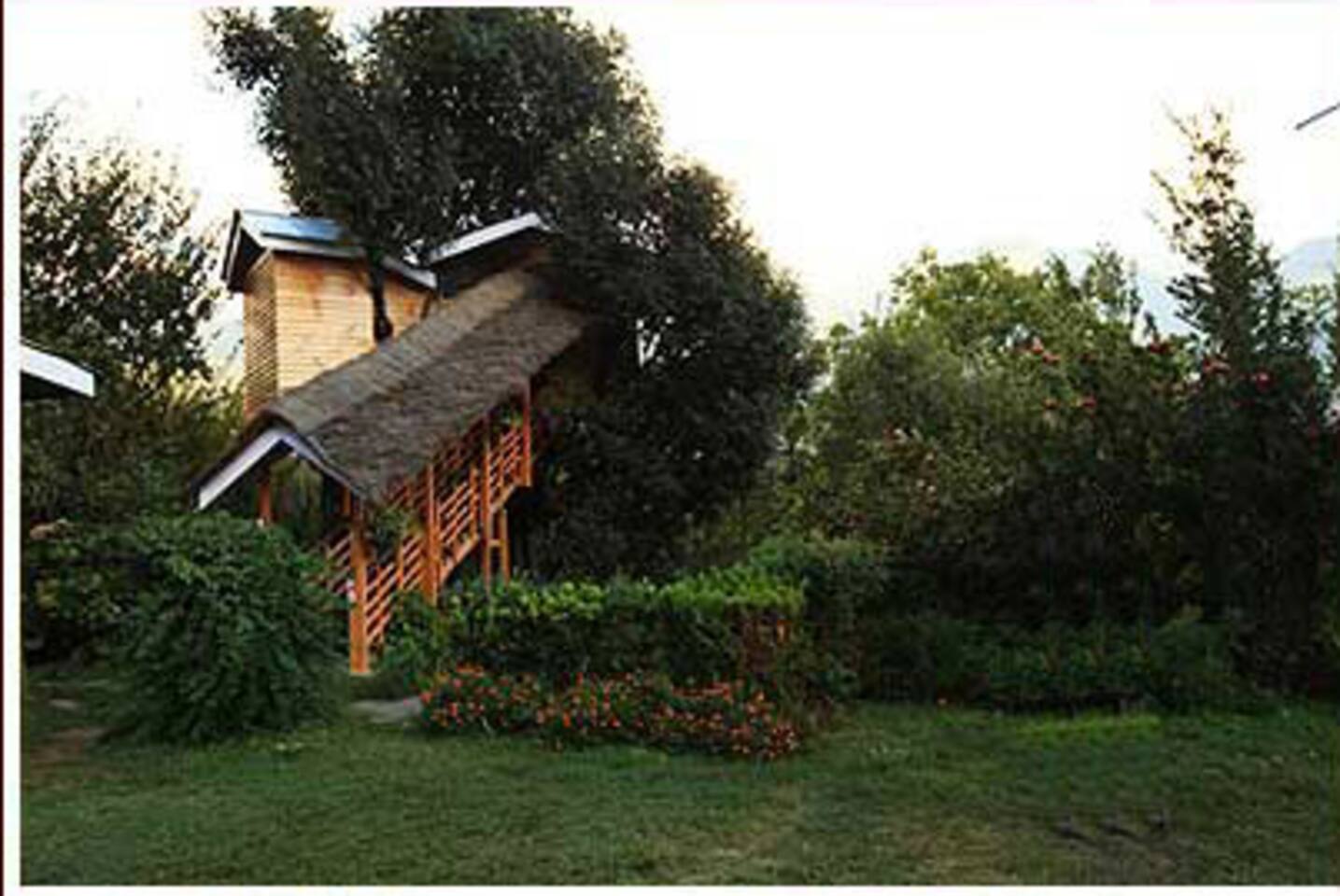 Beautiful Treehouse In Manali Farm Stays For Rent In Katrain