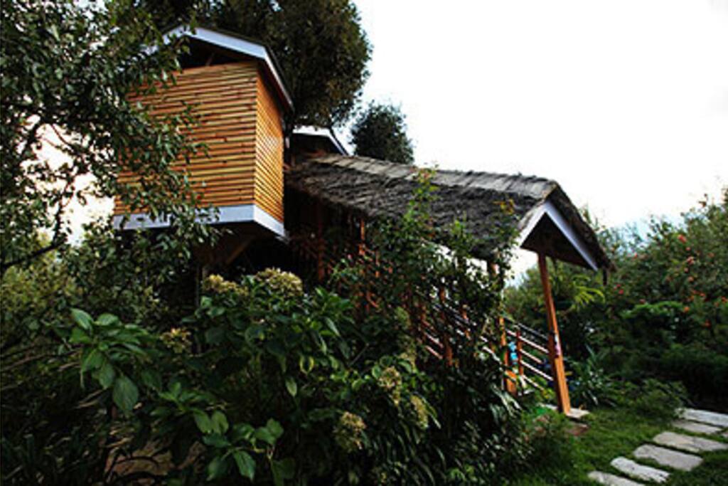 Beautiful Treehouse In Manali Farm Stays For Rent In Katrain