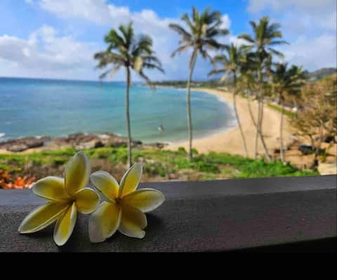 NEW-Amazing ocean view Wailua Bay View condo