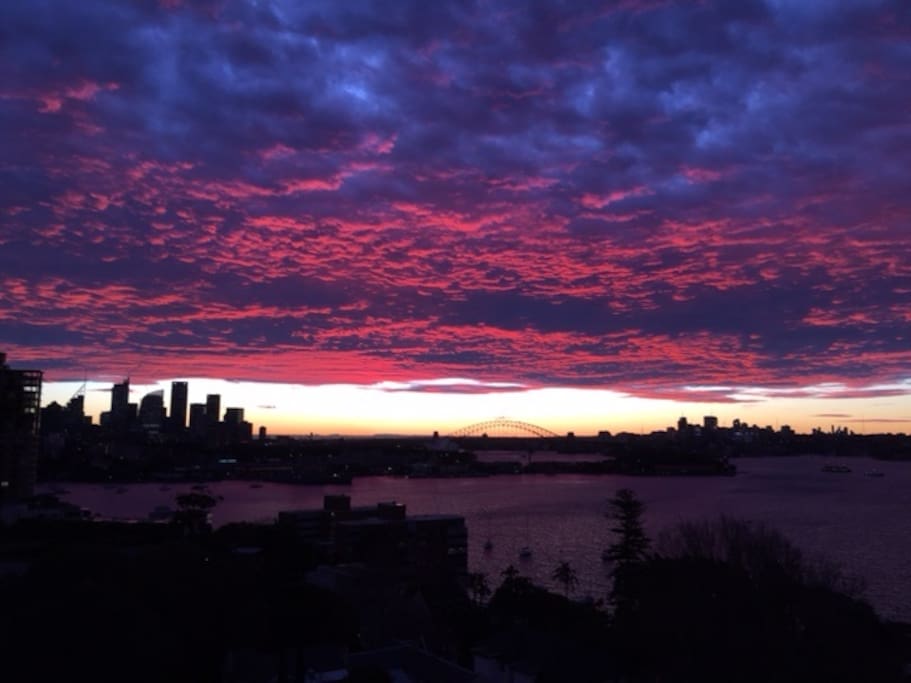Beautiful view of the city skyline from the shared roof top