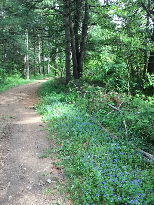Leave your car behind and take an easy 5 minute walk-in to the campground