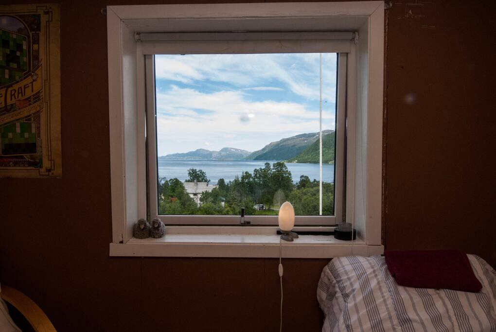 View through the window
