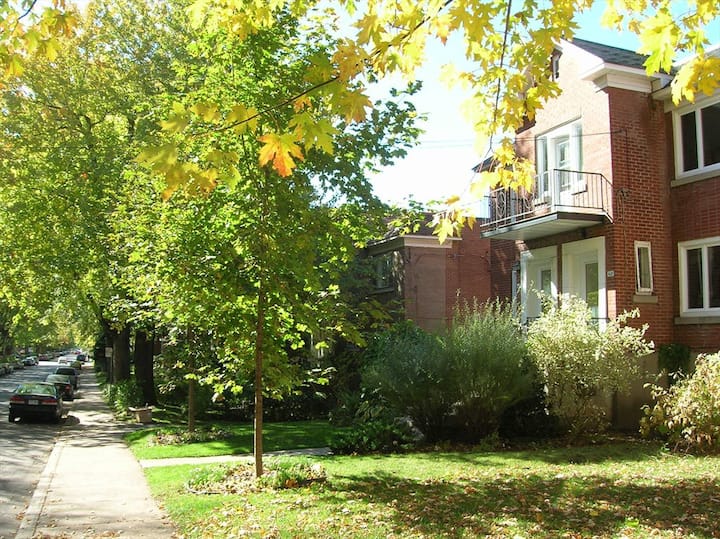 Le PlateauMontRoyal Locações por temporada e Le Plateau