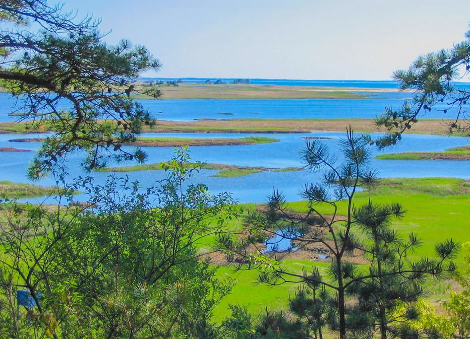 Relax on the deck and look over the marsh and Cape Cod Bay.