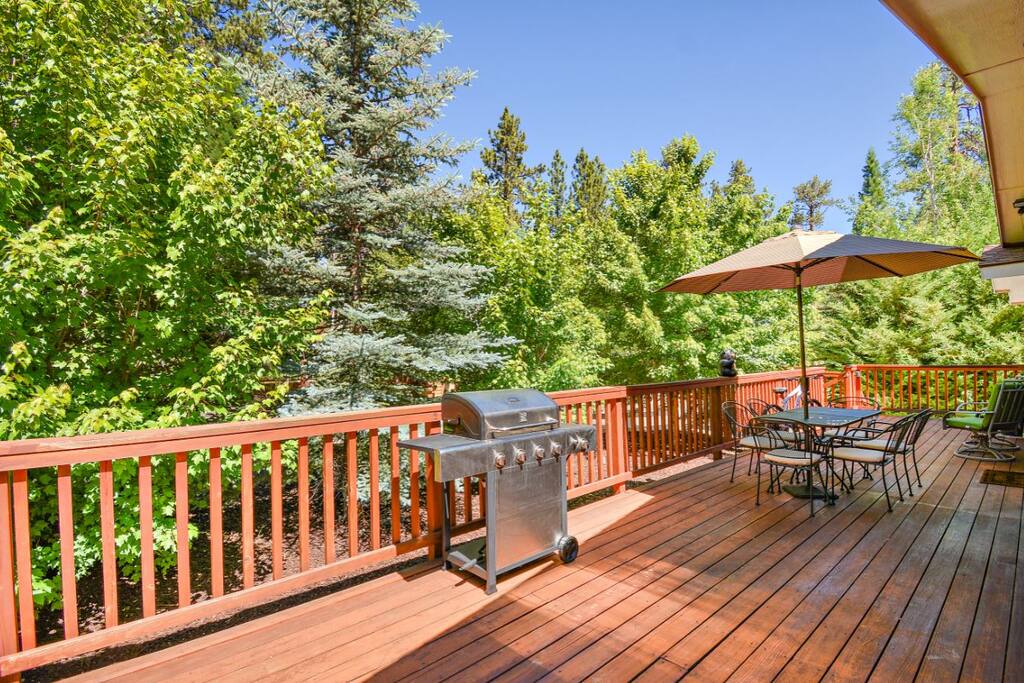 Front deck with new BBQ and seating for 6... hidden in the trees