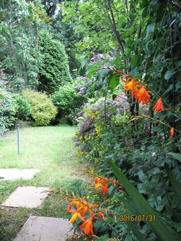 Garden & woods in South: 50 minutes London Bridge