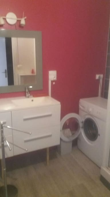 salle d'eau avec cabine de douche et lave-linge.