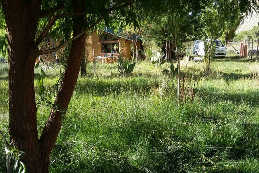 grandes jardines para estar en contacto con la flora y fauna