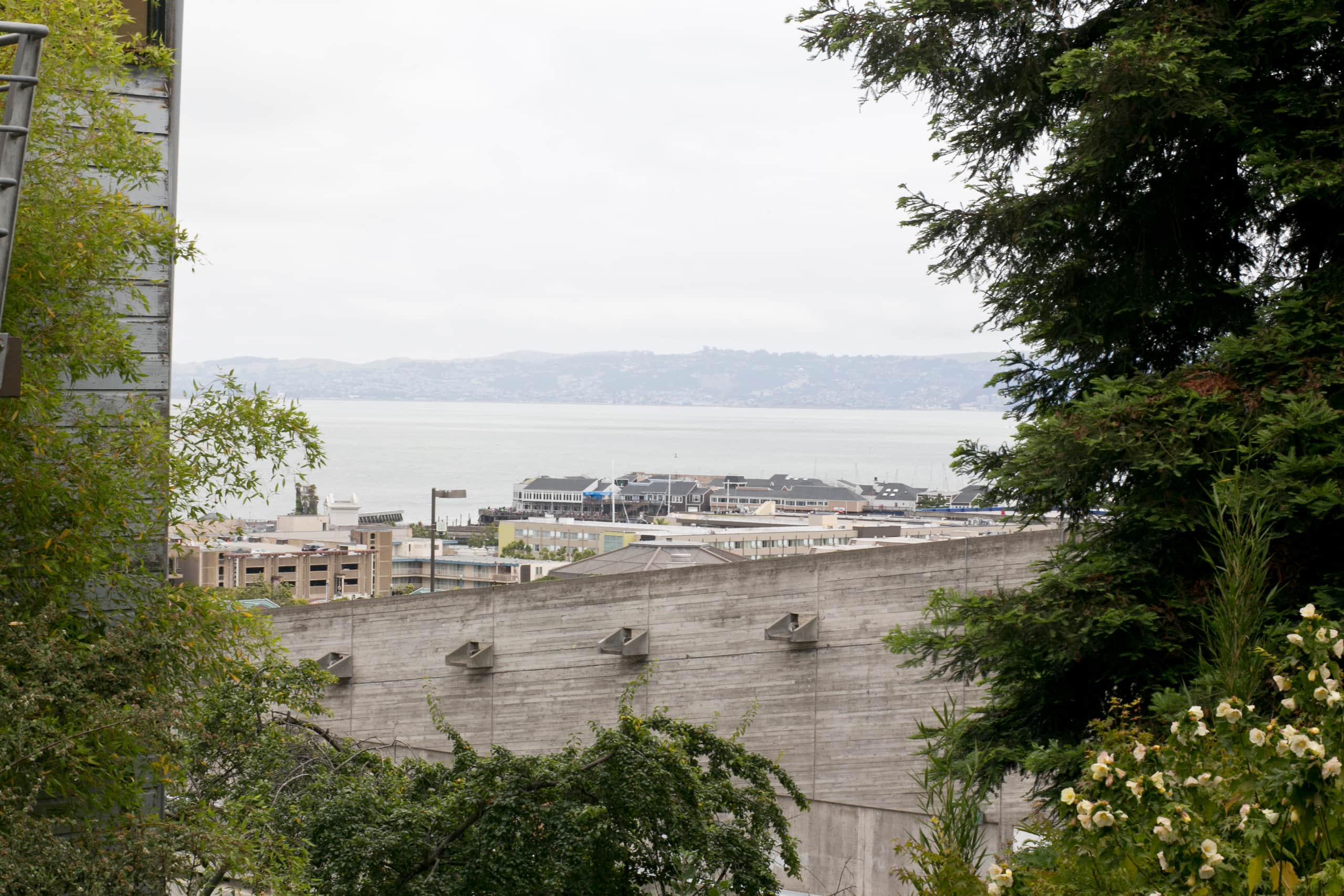 Russian Hill/ North Beach Garden Apartment - Image 49