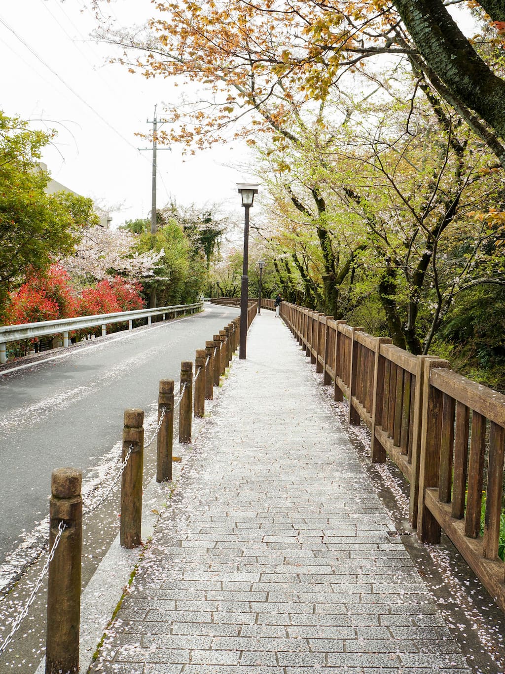 伴着飘落的樱花到了日本最古老的城堡 日本旅游攻略 尽在airbnb爱彼迎