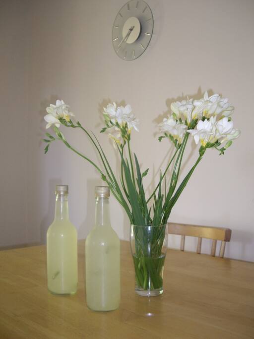 Homemade lemonade