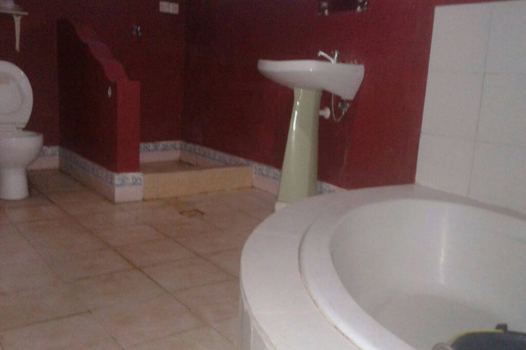 Large bath with tub and separate shower.