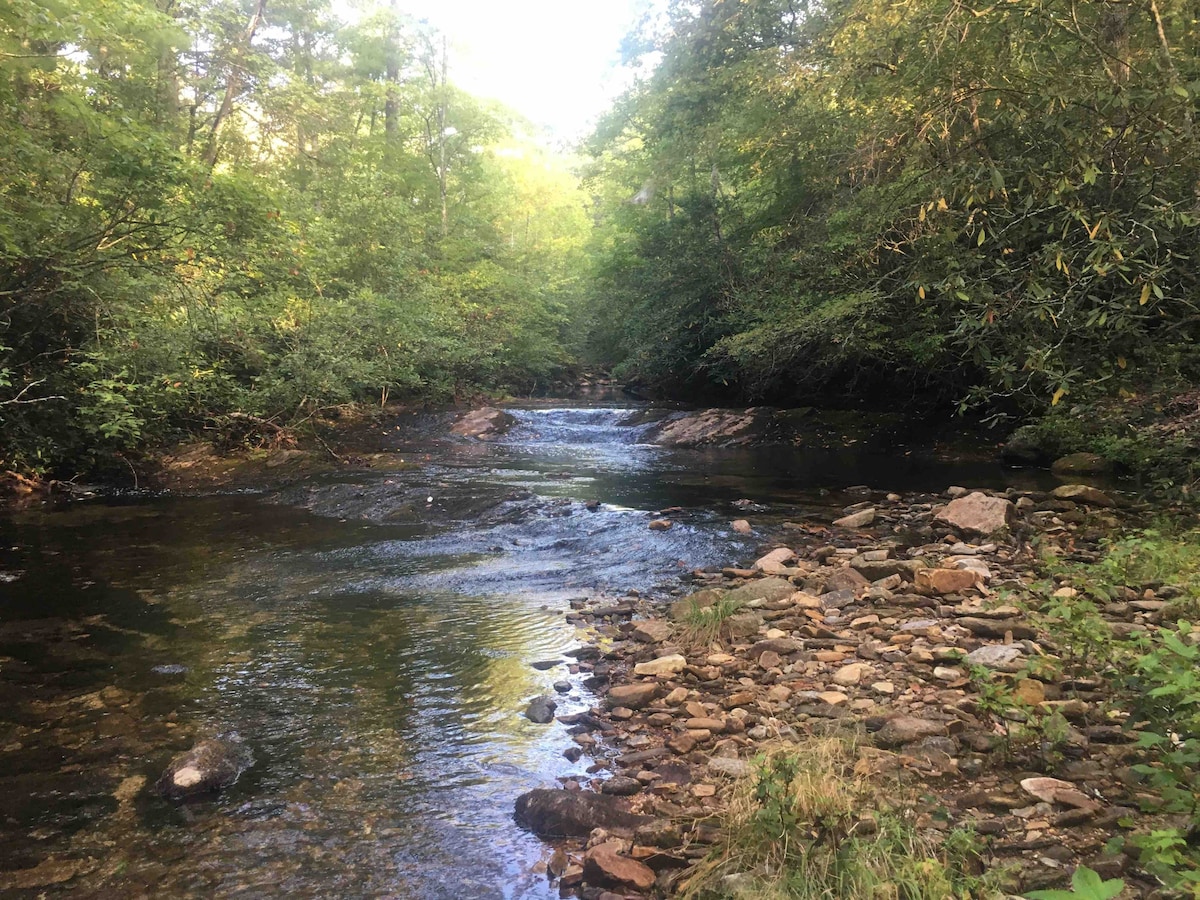 A serene mountain creek flows gently through a rocky bed, surrounded by lush greenery. Sunlight filters through the trees, casting a warm glow on calm waters that reflect the surrounding forest. Smooth stones and patches of grass line the creek, creating a peaceful natural setting.