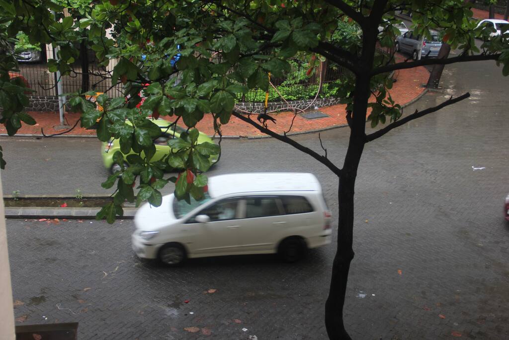 From view from the house.