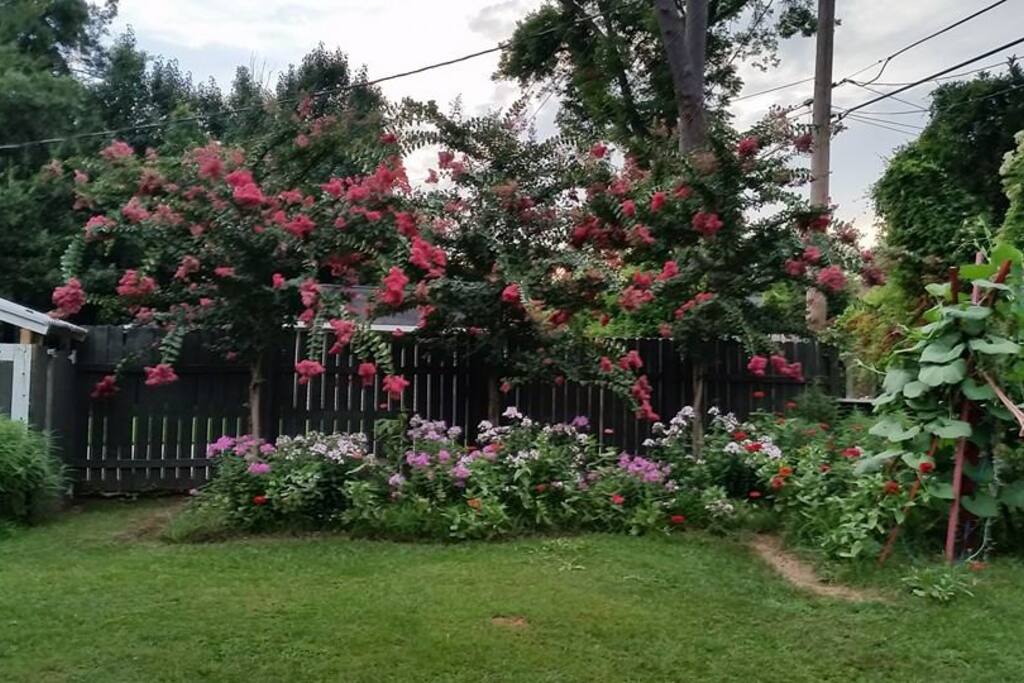 View of backyard from bedroom