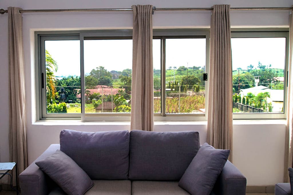 View from Living Room
