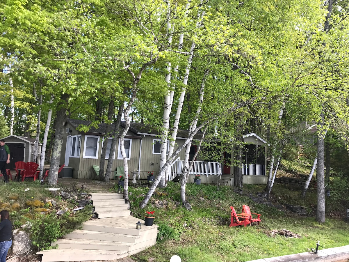 A charming cottage is nestled among tall, leafy trees, showcasing a wooden pathway leading to the entrance. A pair of red chairs is positioned on the grassy area nearby, providing a place to relax. The exterior is adorned with light-colored siding and ample window space.
