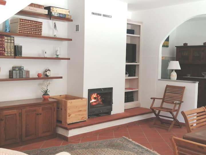 Séjour avec cheminée