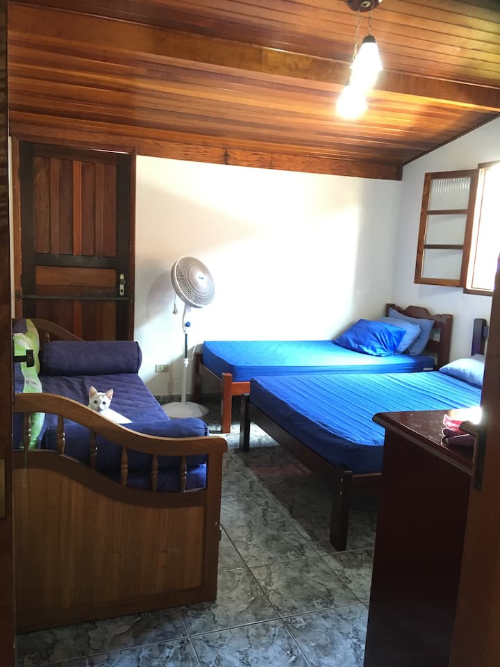 3号卧室（套房）、双人床、1米宽单人床、双人沙发、风扇、楼上