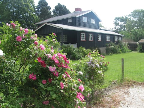 The summer house SAINAK - Bisserup