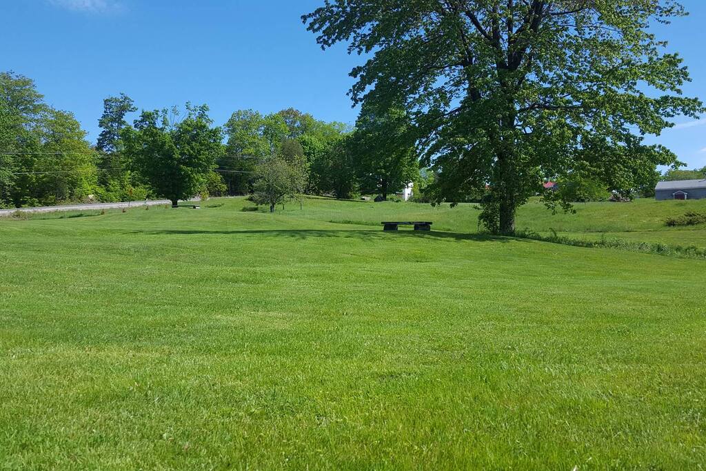 Grassy Back Yard to Play lots of Lawn Games