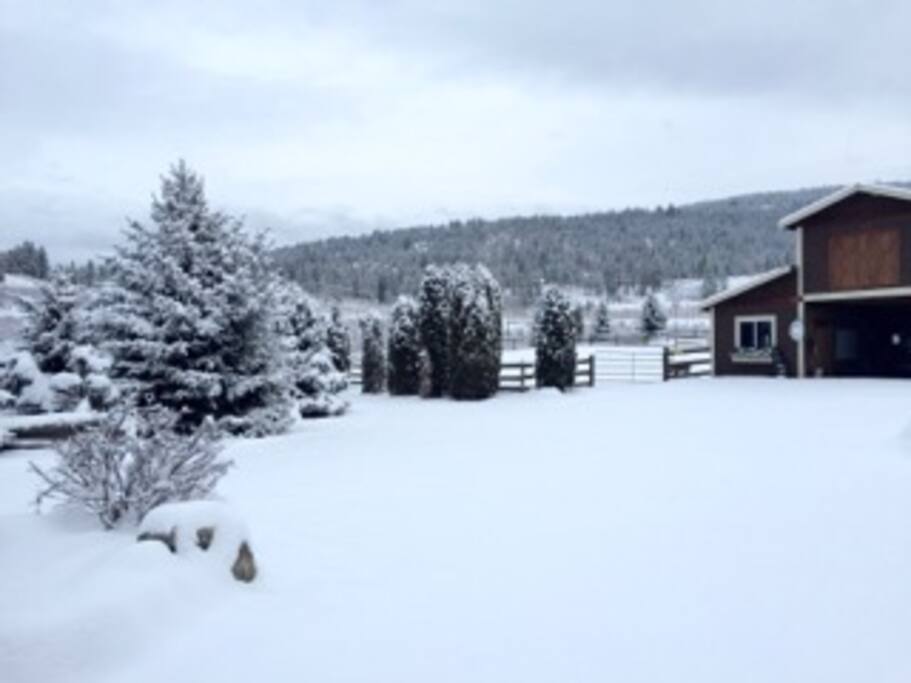 View from front door of house