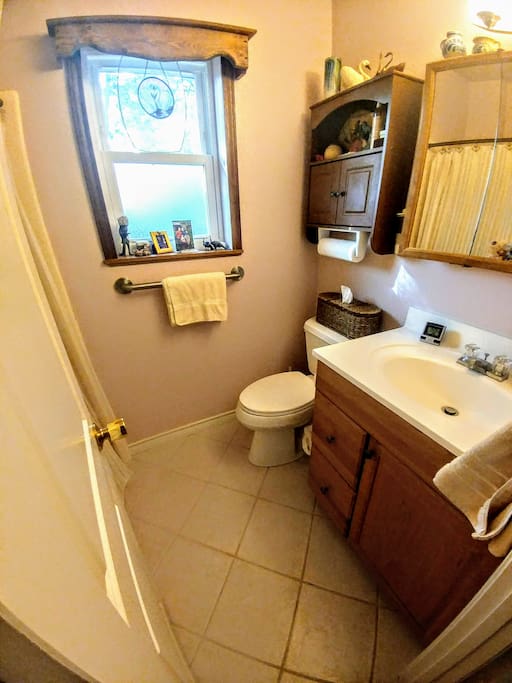 Guest Bathroom