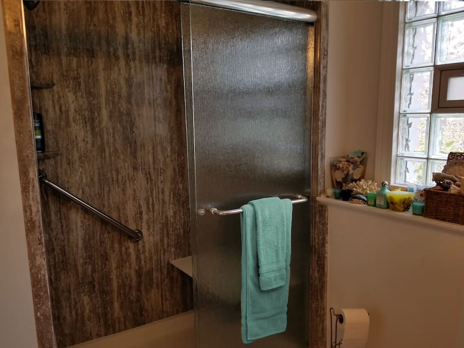 Newly renovated shower (handicap accessible)