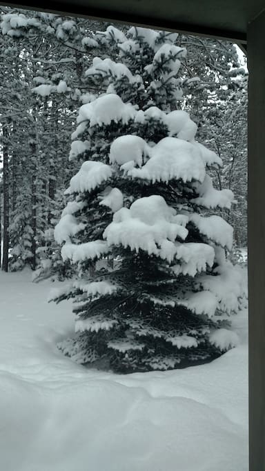 Snow!