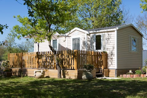 5 luxury mobile homes in the middle of an oak grove