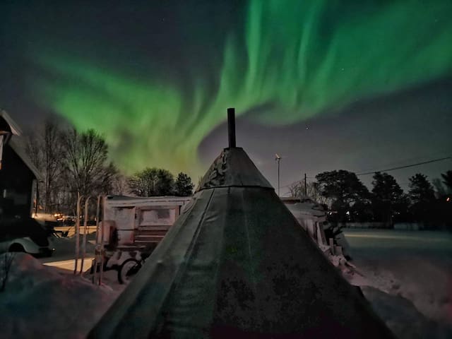 Traditional Sami Lavvu (Tippi ) experience.