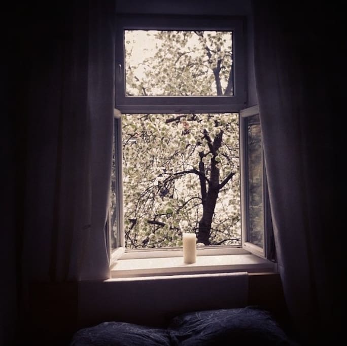 Das Schlafzimmer mit dem Kirschenbaum