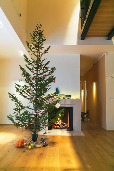 Open fireplace in your living-room.