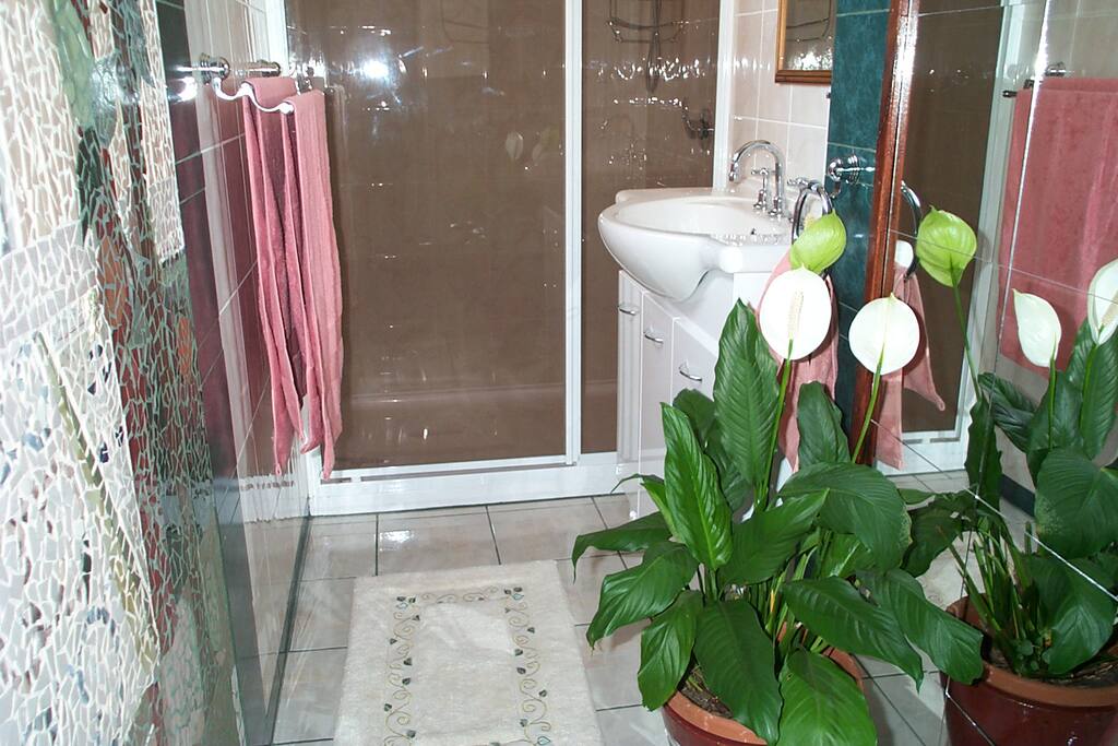 large shower in en-suite