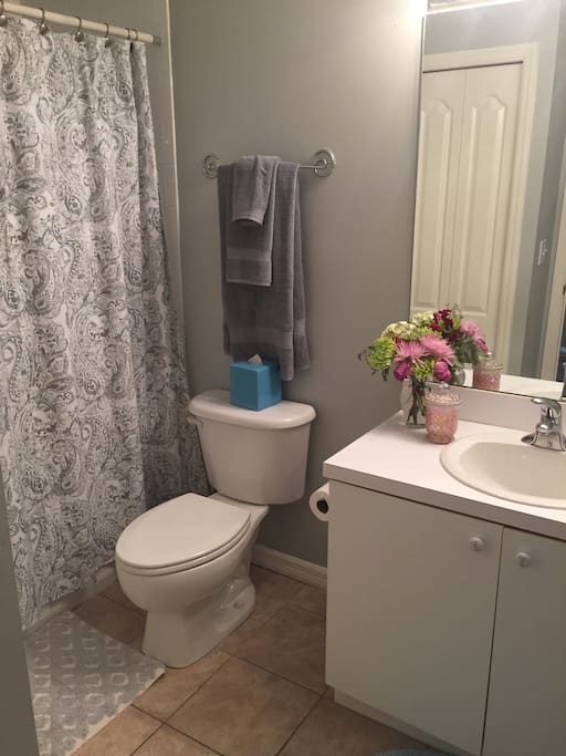 Guest bathroom.