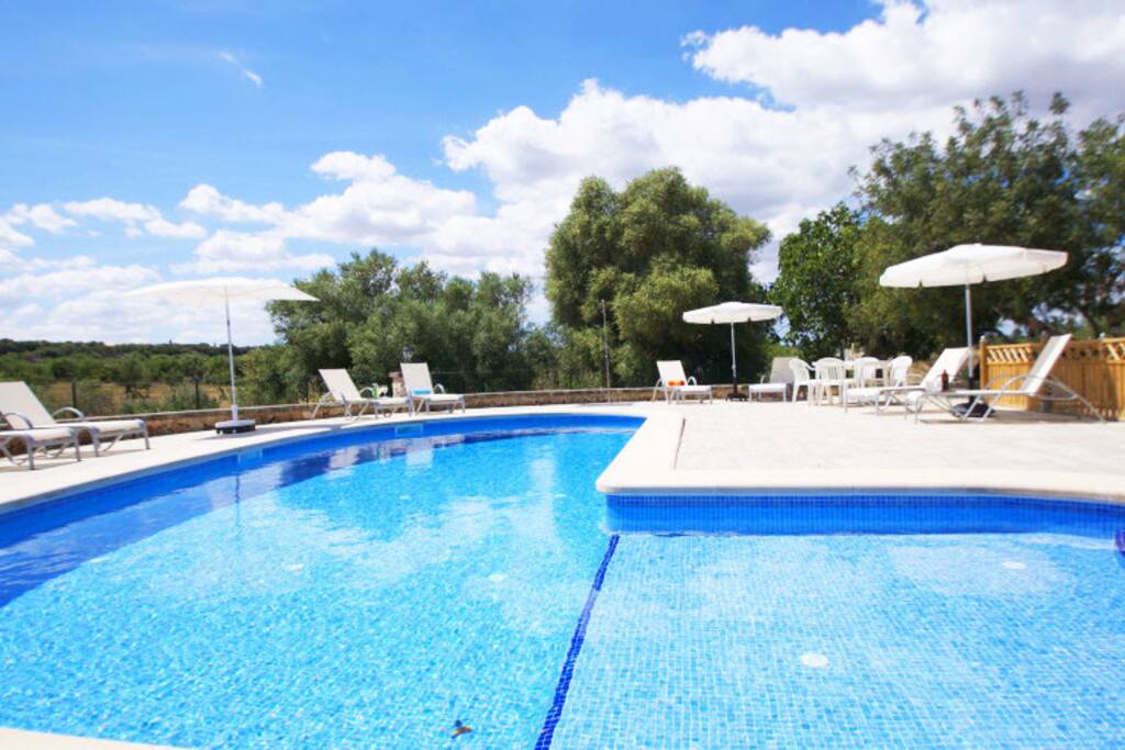pool area