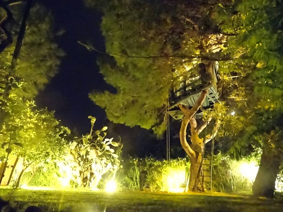 during the night