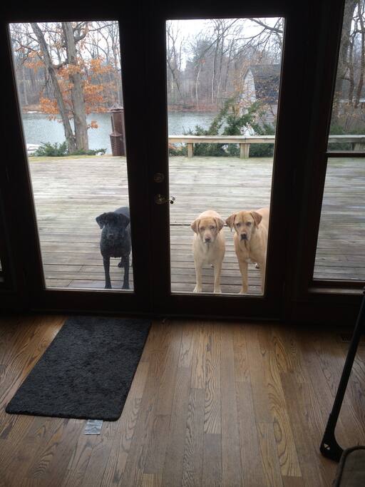 back deck