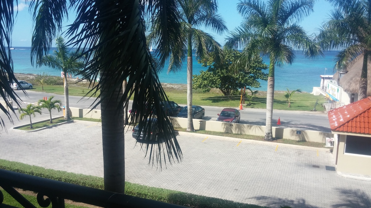 A view of the Caribbean Sea is framed by palm trees, with a clear blue sky above. Below, a paved parking area is visible, accommodating several vehicles. A nearby tree adds greenery to the scene, enhancing the coastal atmosphere.
