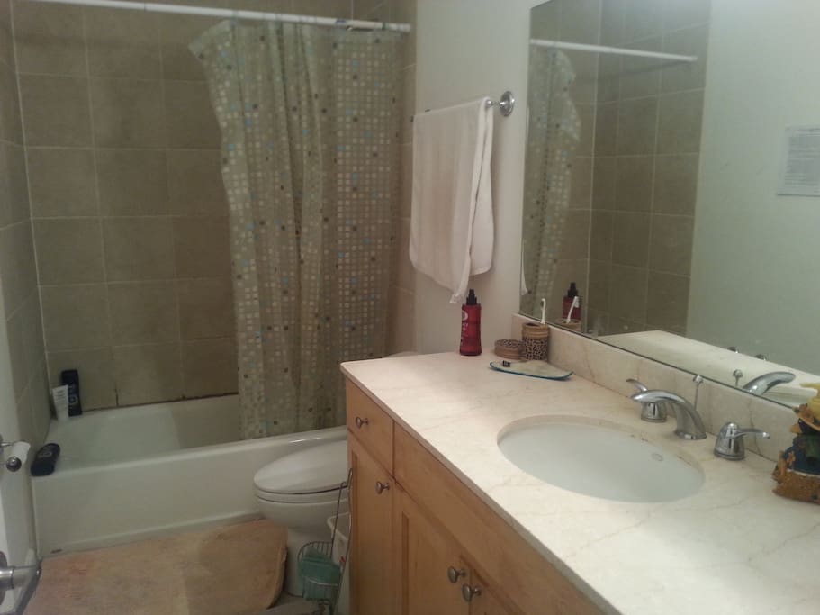 large bathroom, shower, bathtub, great lighting, clean.and private.