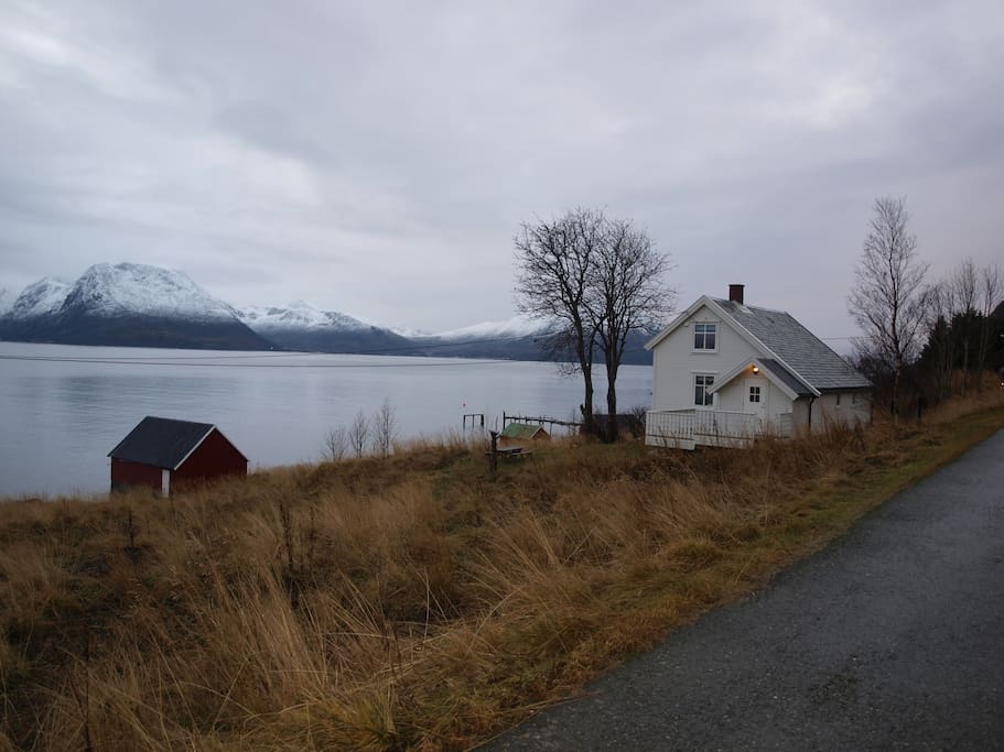 The house lies in a beautiful environment by the sea