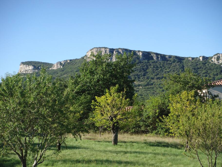vue sur le mont bouquet