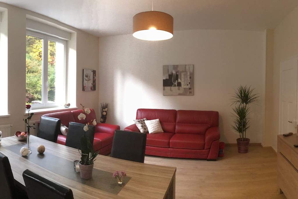 salon séjour avec Tv et 2 canapés